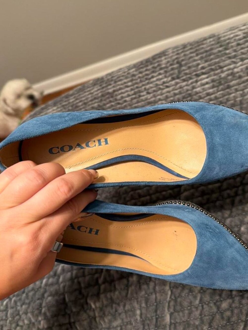 Coach Women's Blue Courts